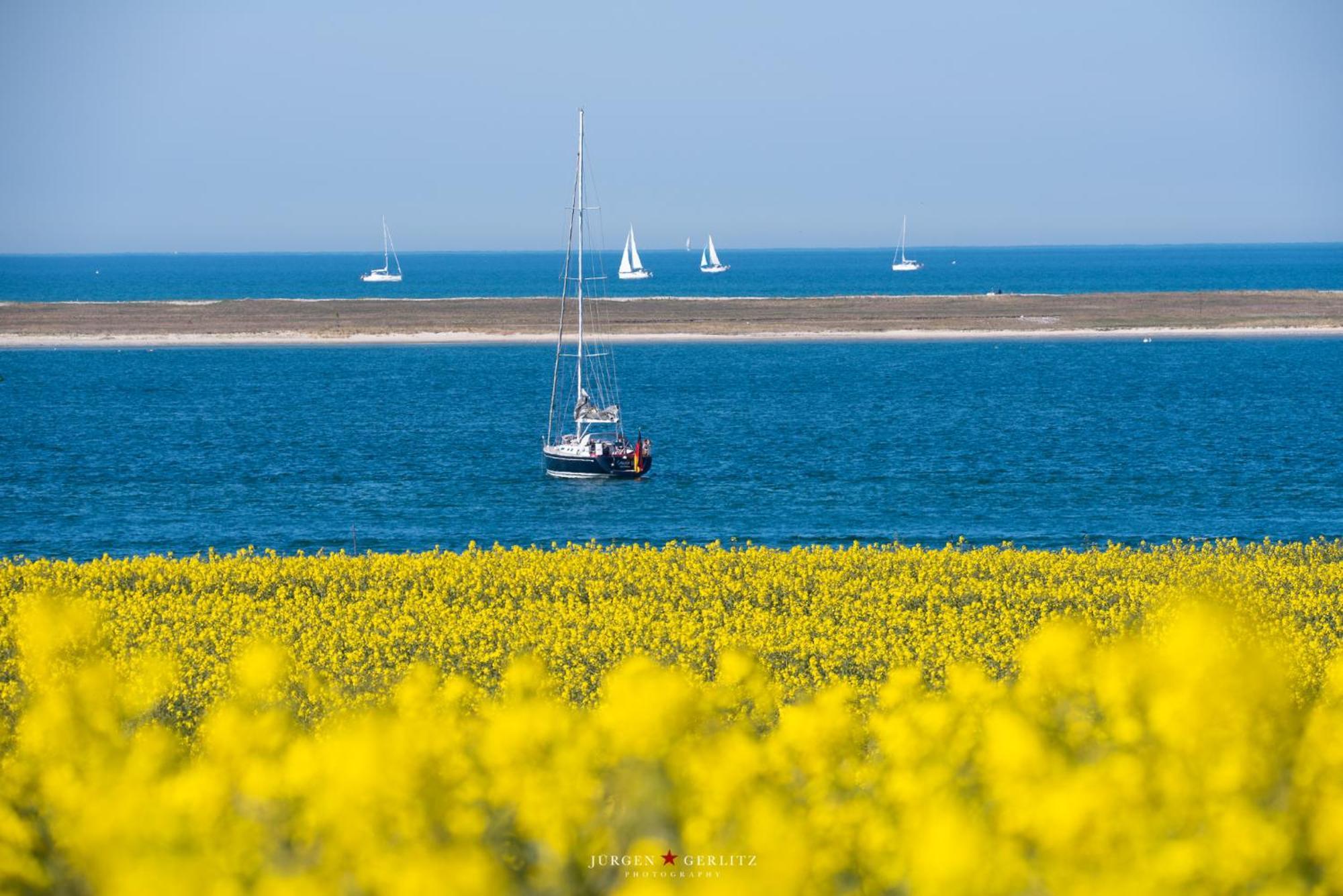 Urlaub Mit Ostseeblick, Schwimmbad, Sauna & Direkte Strandlage Kronsgaard Εξωτερικό φωτογραφία